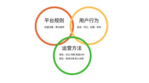 Gas费优化五大实战技巧