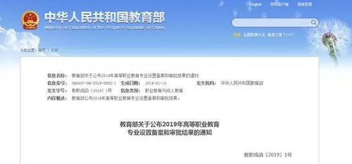 高级通知设置与个性化配置