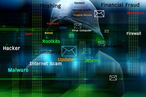 二、网络钓鱼攻击的识别与防范