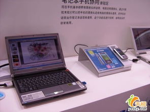 电脑版与手机版的协同使用技巧