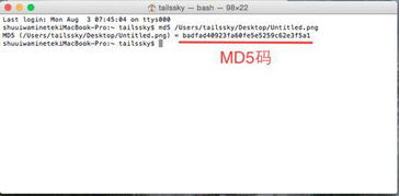交易哈希(TxHash)的查询技巧