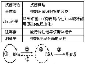 一、安全机制对比：冷热钱包的防护体系差异