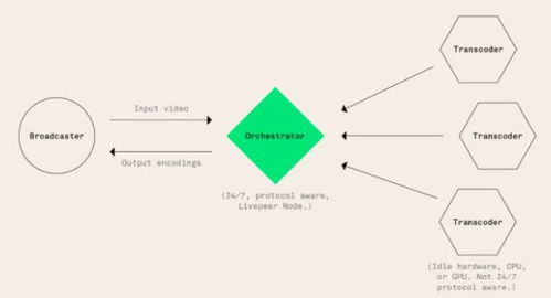 多链生态支持策略