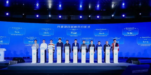 开源生态与开发者社区建设