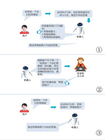 人工客服支持的问题类型与限制