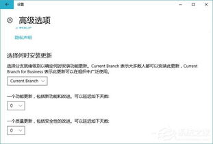 常见问题排查与版本更新策略