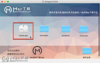 四、安装后的首次设置关键步骤