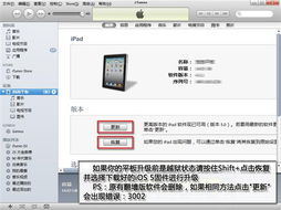 三、不同设备版本的下载操作指南