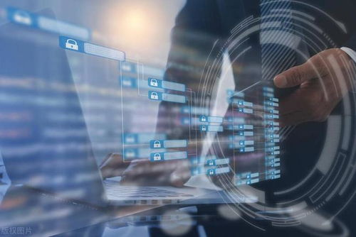 实际应用场景中的去中心化表现