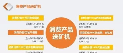 合法代币的价值判断与处置