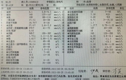 三、解读授权查询结果的关键指标