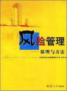 安全机制与风险管理策略