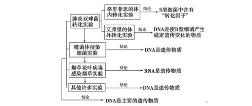 常见错误名称辨析