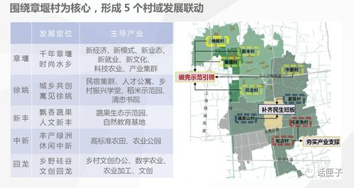 五、社区生态与发展路线图