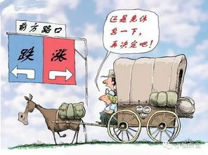 五、必须警惕的五大风险及应对措施