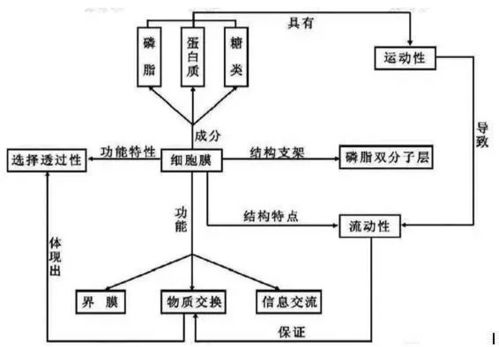 生物识别与二次验证的防护体系