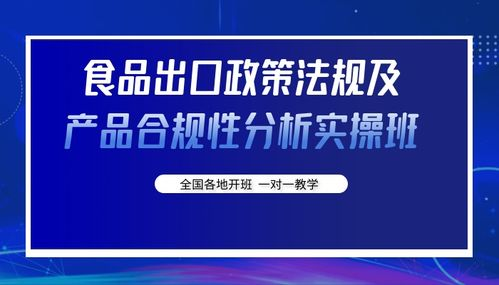合规政策与法律适配性分析