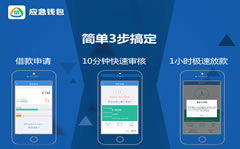 遭遇仿冒钱包的应急处理