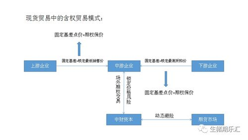 四、境外合规交易渠道对比