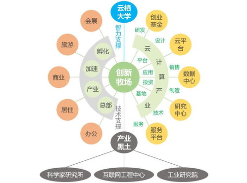 生态布局与行业影响力