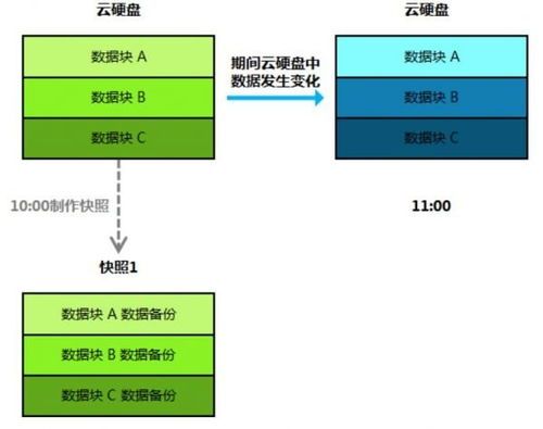 五、资产安全存储与管理方案