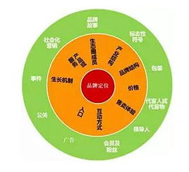 资产转移的关键前置步骤