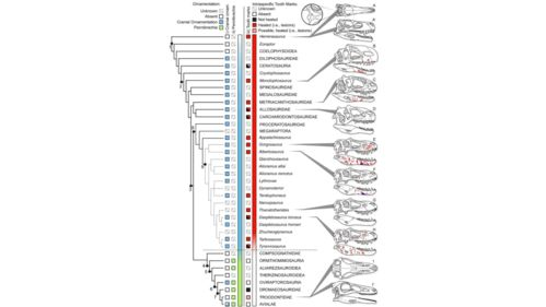 三、三种核心备份方式的对比分析