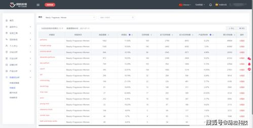 关键词优化与流量获取技巧