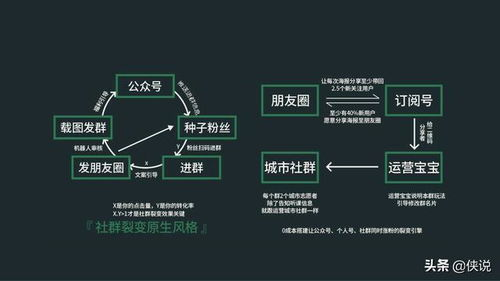 用户互动与社区运营方法论