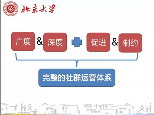 四、社群运营的官方标识系统
