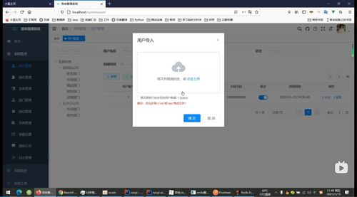 分步骤导入操作详解