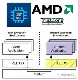 区块链交互层的语言实现