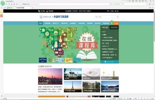 多平台支持与语言适配策略