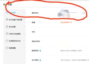 企业账户与机构用户的特殊要求