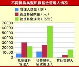合规运营与监管适应策略
