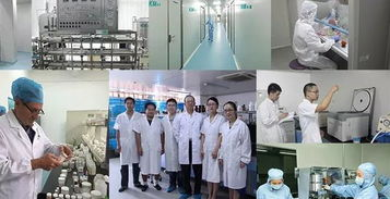 技术团队构成与研发投入