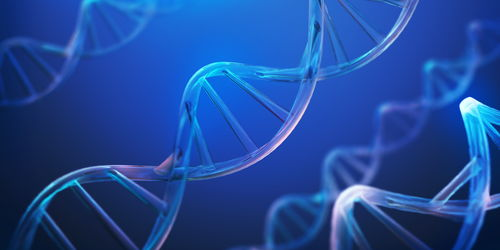 多链生态支持能力