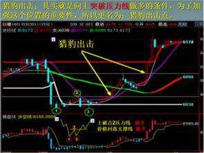 提升imToken期货交易盈利的关键技巧