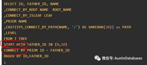 用户群体与市场分布实证