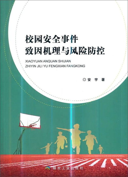 安全机制与跨国风险防控