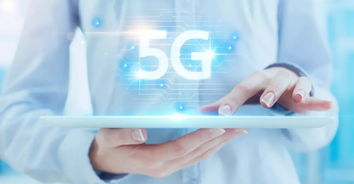 官方资源与社区支持体系