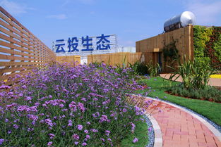 五、多链支持与官方生态入口