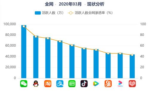 用户增长与市场反应数据