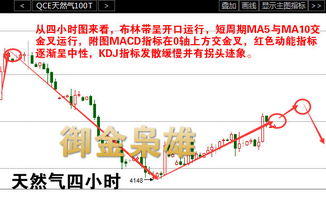 三、紧急情况下的止损操作指南