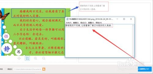主流替代钱包的迁移方案对比