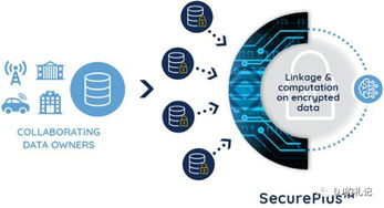 隐私保护与数据安全措施