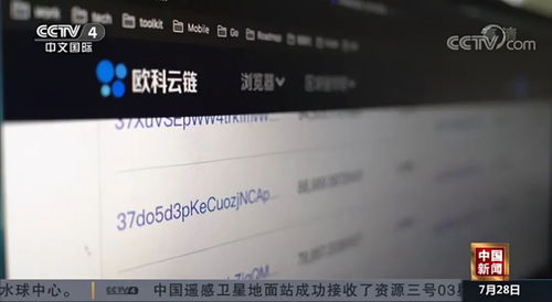 不同区块链网络的特殊限额规则