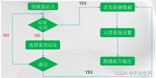 三、双版本功能差异对比