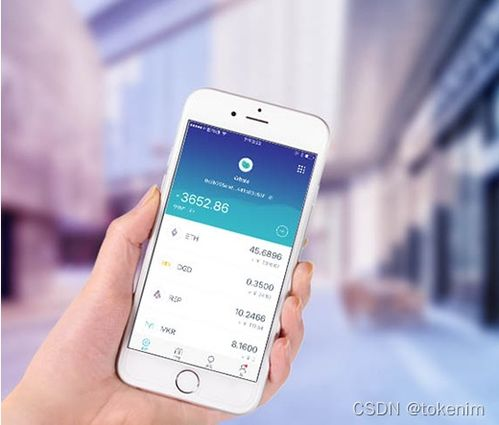 imToken钱包版本选择与功能对比