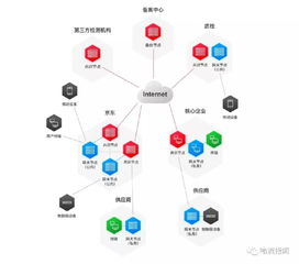 多链支持与功能完备性评估